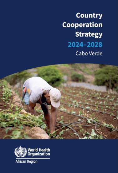 Country Cooperation Strategy 2024/28
